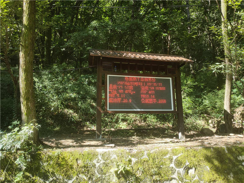 負(fù)氧離子 內(nèi)頁.jpg